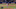 wainwright-backdoor-curveball wainwright-backdoor-curveball
