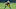 Green Bay Packers Green Bay Packers