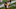 AUSTIN, TX – NOVEMBER 17: Breckyn Hager #44 of the Texas Longhorns celebrates after the game against the Iowa State Cyclones at Darrell K Royal-Texas Memorial Stadium on November 17, 2018 in Austin, Texas. (Photo by Tim Warner/Getty Images) AUSTIN, TX – NOVEMBER 17: Breckyn Hager #44 of the Texas Longhorns celebrates after the game against the Iowa State Cyclones at Darrell K Royal-Texas Memorial Stadium on November 17, 2018 in Austin, Texas. (Photo by Tim Warner/Getty Images)