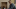 Manifest season 4 - Netflix shows Manifest season 4 - Netflix shows
