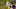 Green Bay Packers Green Bay Packers
