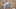 Eric Karros