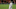 By Ronnie Macdonald from Chelmsford, United Kingdom (Jose Mourinho Uploaded by Dudek1337) [CC-BY-2.0 (http://creativecommons.org/licenses/by/2.0)], via Wikimedia Commons