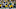 Green Bay Packers Green Bay Packers