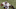 Josh Freeman is well on his way to becoming a Top 5 NFL quarterback. Josh Freeman is well on his way to becoming a Top 5 NFL quarterback.