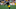 JuJu Smith-Schuster #19 of the Pittsburgh Steelers (Photo by Joe Sargent/Getty Images) JuJu Smith-Schuster #19 of the Pittsburgh Steelers (Photo by Joe Sargent/Getty Images)