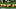 GREEN BAY, WI – JULY 28: Helmuts from Green Bay Packer defensive players sit on the field during a summer training camp practice on July 28, 2008 at the Hutson Center in Green Bay, Wisconsin. (Photo by Jonathan Daniel/Getty Images) GREEN BAY, WI – JULY 28: Helmuts from Green Bay Packer defensive players sit on the field during a summer training camp practice on July 28, 2008 at the Hutson Center in Green Bay, Wisconsin. (Photo by Jonathan Daniel/Getty Images)