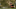 PGA DFS PGA DFS