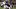 Seattle Seahawks