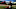 Madden 19 Madden 19