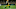Packers TE Packers TE