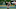 MLB FanDuel MLB FanDuel