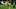 Marco Reus (Photo by Alex Grimm/Getty Images) Marco Reus (Photo by Alex Grimm/Getty Images)