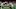 Atlanta Falcons Atlanta Falcons