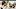 rask halak bruins rask halak bruins