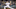 (Photo by Ezra Shaw/Getty Images) – Los Angeles Dodgers (Photo by Ezra Shaw/Getty Images) – Los Angeles Dodgers
