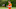 Cincinnati Bengals quarterback Joe Burrow Cincinnati Bengals quarterback Joe Burrow