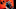 Broxah, Fnatic, LEC, League of Legends. Broxah, Fnatic, LEC, League of Legends.