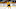 Boston Bruins Boston Bruins