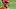 Cincinnati Bengals, Joe Burrow