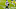 Detroit Lions Detroit Lions
