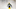 Green Bay Packers Green Bay Packers