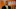 miami hurricanes miami hurricanes