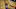 South Bay Lakers, Los Angeles Lakers