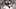 Justin Fields, Chicago Bears Justin Fields, Chicago Bears