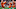 Deshaun Watson Deshaun Watson