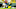Green Bay Packers