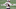 New England Patriots New England Patriots