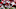 Indiana football Indiana football