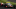 Conor Daly, Ed Carpenter Racing, Indy 500, IndyCar Conor Daly, Ed Carpenter Racing, Indy 500, IndyCar