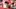Chicago Bears, Todd Bowles Chicago Bears, Todd Bowles