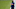 Jasen Vinlove-USA TODAY Sports