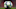 LIVERPOOL, ENGLAND – NOVEMBER 05: A detailed view of the match ball prior to the UEFA Champions League group E match between Liverpool FC and KRC Genk at Anfield on November 05, 2019 in Liverpool, United Kingdom. (Photo by Alex Pantling/Getty Images)