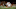 Texas Football Texas Football