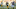 Green Bay Packers Green Bay Packers