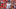 college football college football