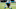 carolina panthers carolina panthers