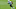 May 26, 2015; Miami, FL, USA; Miami Dolphins wide receiver Matt Hazel (83) during practice drills at Miami Dolphins Training Facility. Mandatory Credit: Steve Mitchell-USA TODAY Sports May 26, 2015; Miami, FL, USA; Miami Dolphins wide receiver Matt Hazel (83) during practice drills at Miami Dolphins Training Facility. Mandatory Credit: Steve Mitchell-USA TODAY Sports
