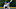 Chicago Cubs, Jose Quintana Chicago Cubs, Jose Quintana