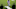 The image of Zidane head down, walking from the pitch has cast a shadow on French football ever since. AFP PHOTO / ROBERTO SCHMIDT (Photo credit should read ROBERTO SCHMIDT/AFP/Getty Images) The image of Zidane head down, walking from the pitch has cast a shadow on French football ever since. AFP PHOTO / ROBERTO SCHMIDT (Photo credit should read ROBERTO SCHMIDT/AFP/Getty Images)