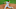minor league baseball