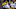 Michigan football Michigan football