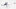 Toronto Maple Leafs