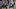 Seattle Seahawks Seattle Seahawks