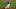 Toronto Blue Jays Toronto Blue Jays