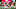 ATLANTA, GA ā JANUARY 08: Nick Chubb ATLANTA, GA ā JANUARY 08: Nick Chubb